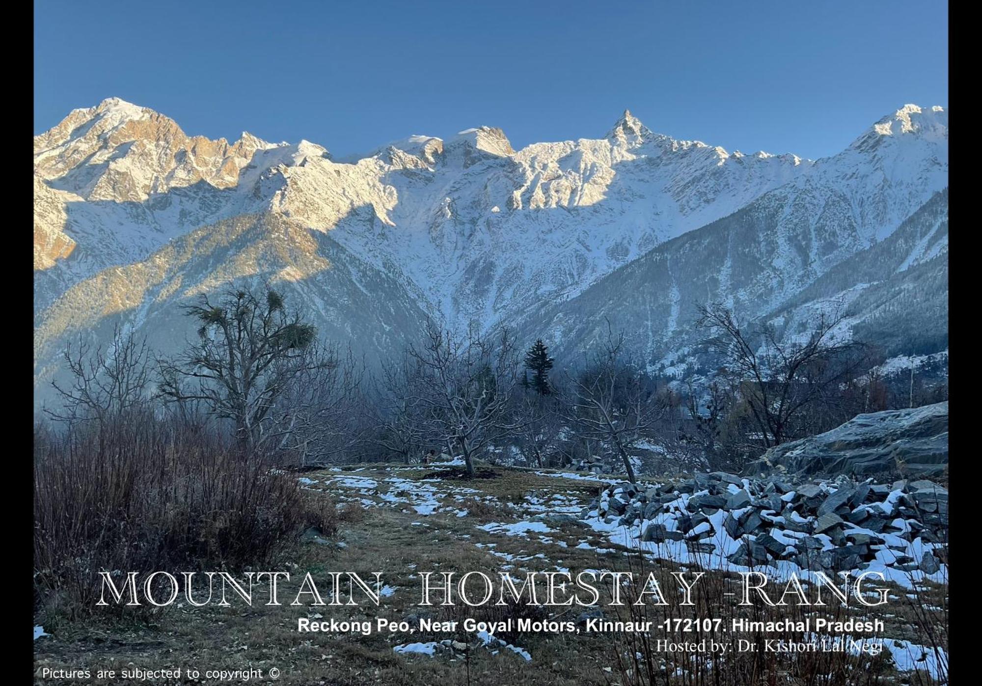 Mountain Home Stay -Rang, At Reckong Peo - Kalpa, Near Goyal Motors, Way To Petrol Pump At Itbp Quarters Exterior foto